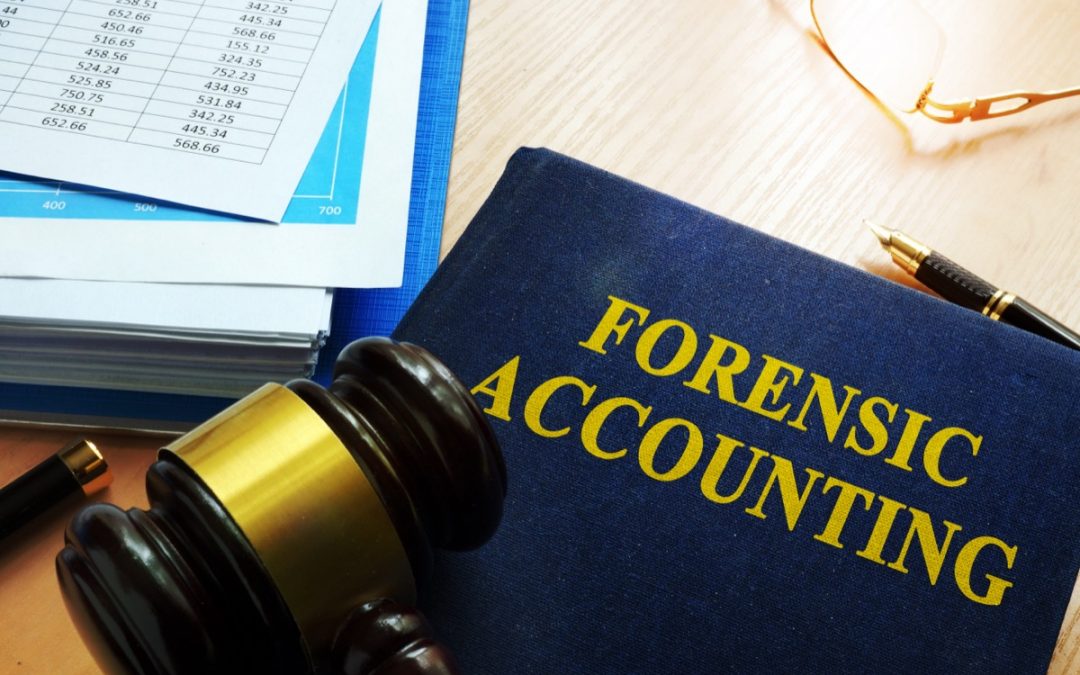Use of Forensic Accountants in Fraud Investigations